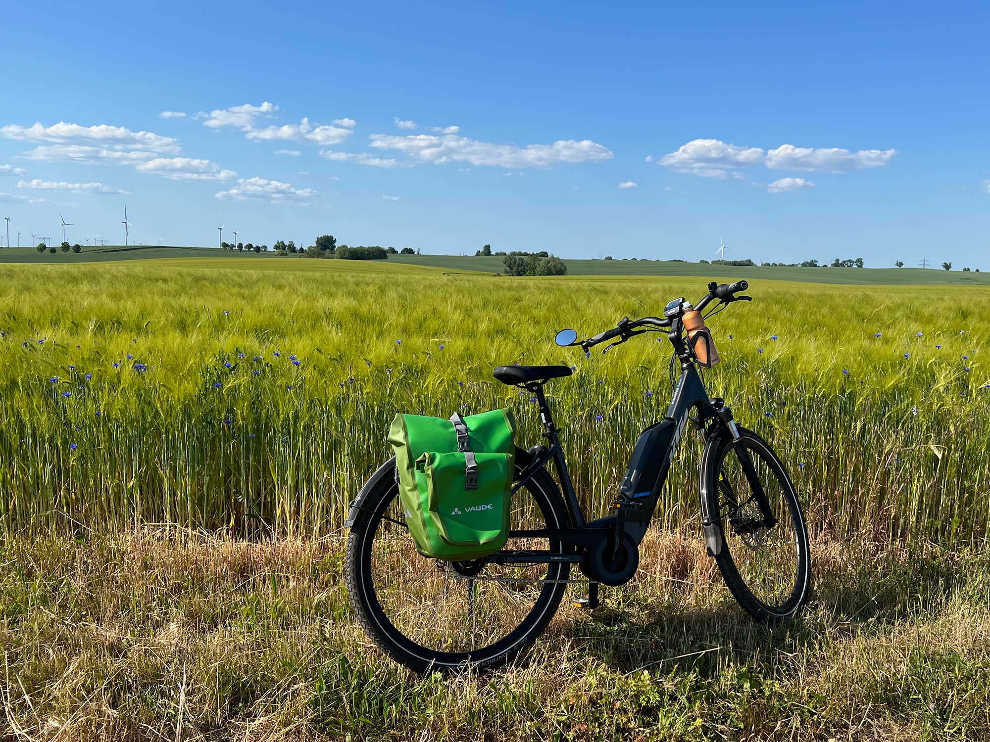 Fahrrad mit grüner Tasche am Feldrand